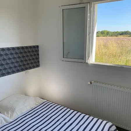 Апартаменты Au Calme, Proximite Toulouse Avec Piscine Pibrac